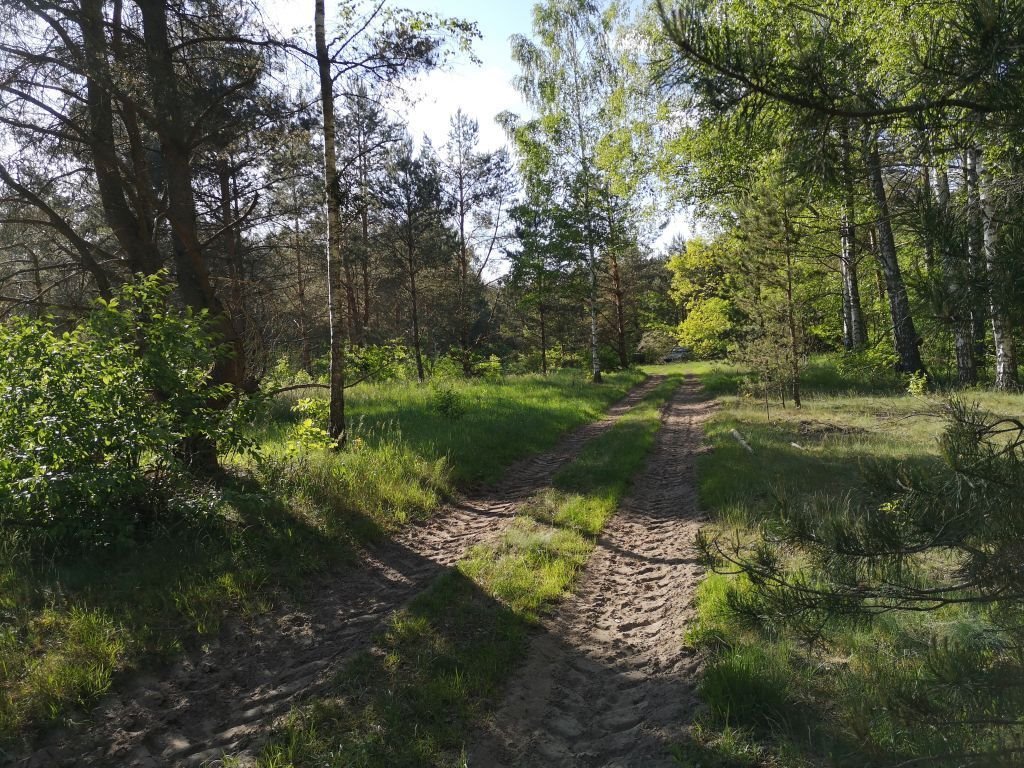 Działka budowlana na sprzedaż Karwica  36 100m2 Foto 3