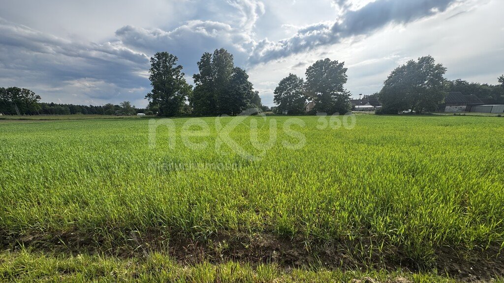 Duża działka 3 ha z możliwością podziału, blisko dróg Sądrożyce  30 018m2 Foto 1