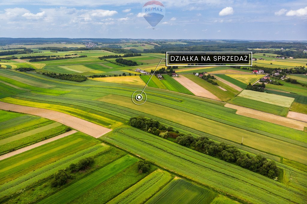 Działka inna na sprzedaż Skała  8 350m2 Foto 11