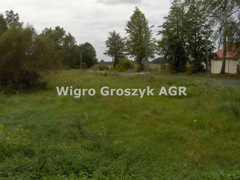 Działka rolna na sprzedaż Wawrzyszew  4 500m2 Foto 3