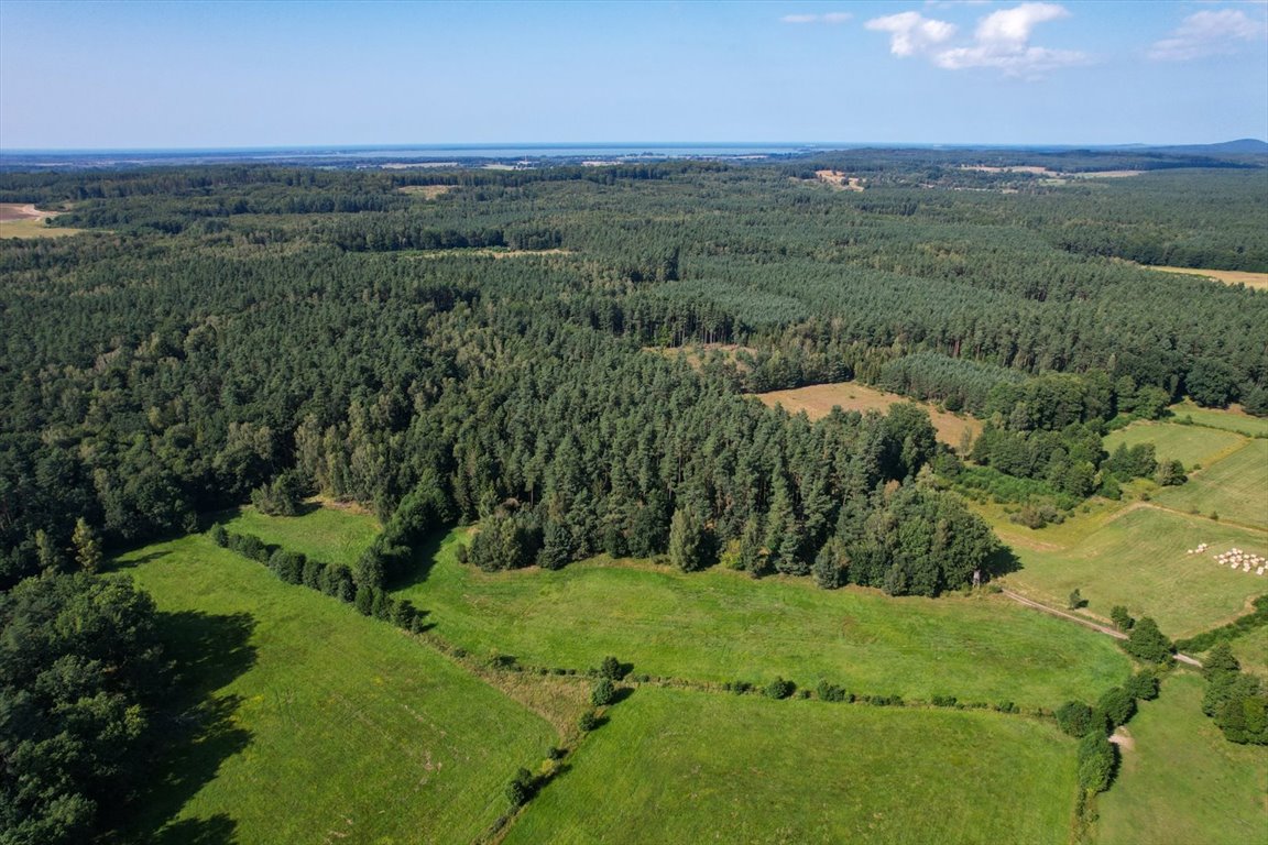 Działka budowlana na sprzedaż Lękwica  3 100m2 Foto 3