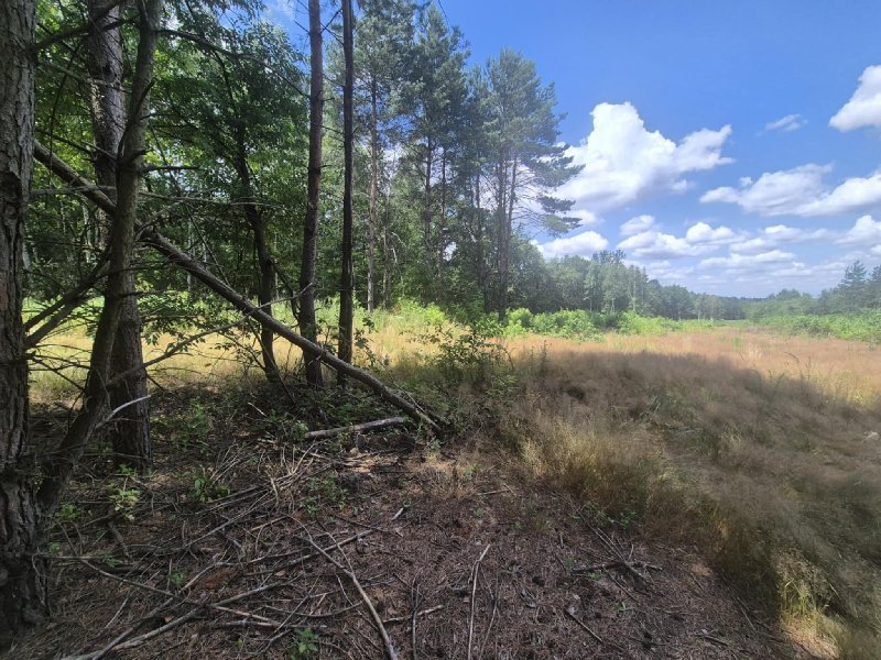 Działka budowlana na sprzedaż Kłobuck, Lgota  970m2 Foto 1