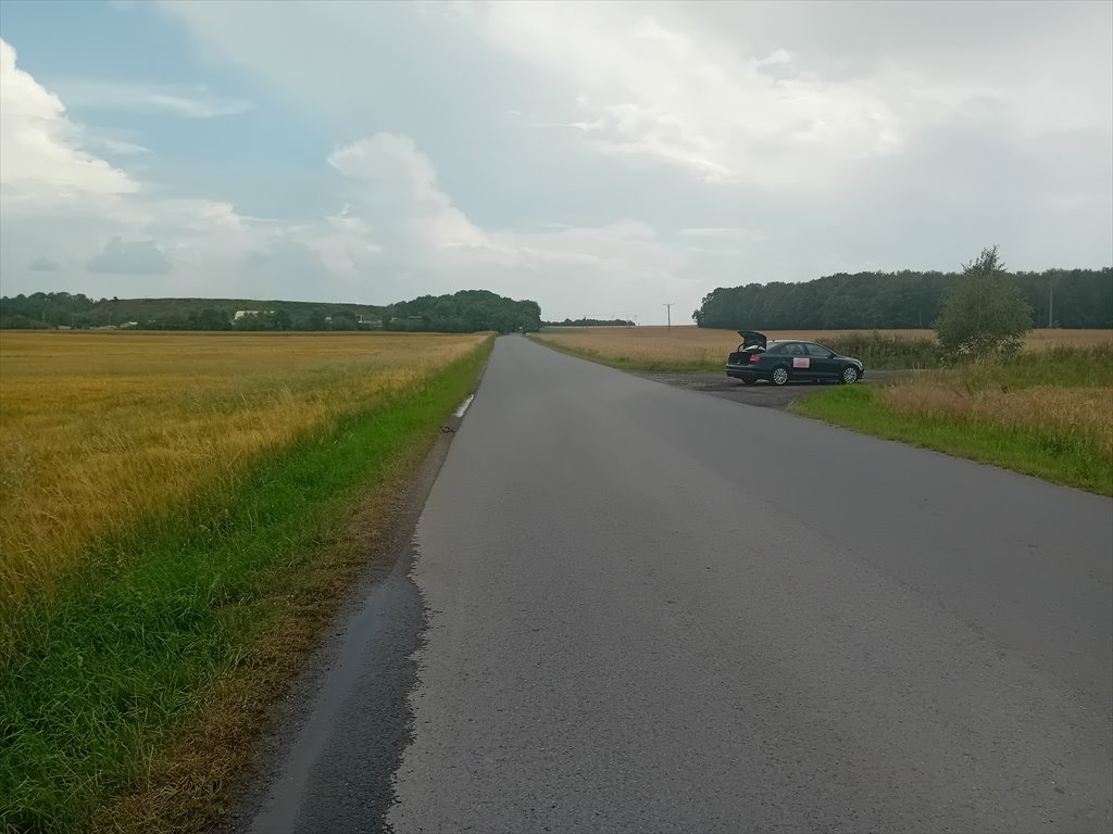 Działka budowlana na sprzedaż Tarnowskie Góry, Rybna, Laryszowska  660m2 Foto 3