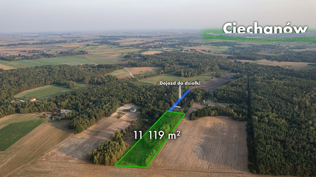 Dom na sprzedaż Trzcianka  11 818m2 Foto 2