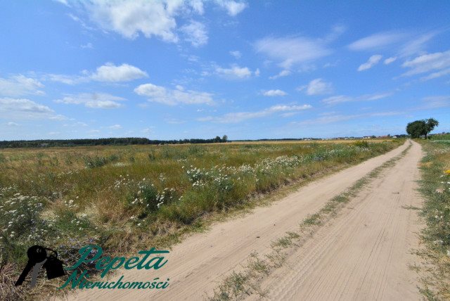 Działka budowlana na sprzedaż Kórnik, Kórnik, Radzewo  10 462m2 Foto 6