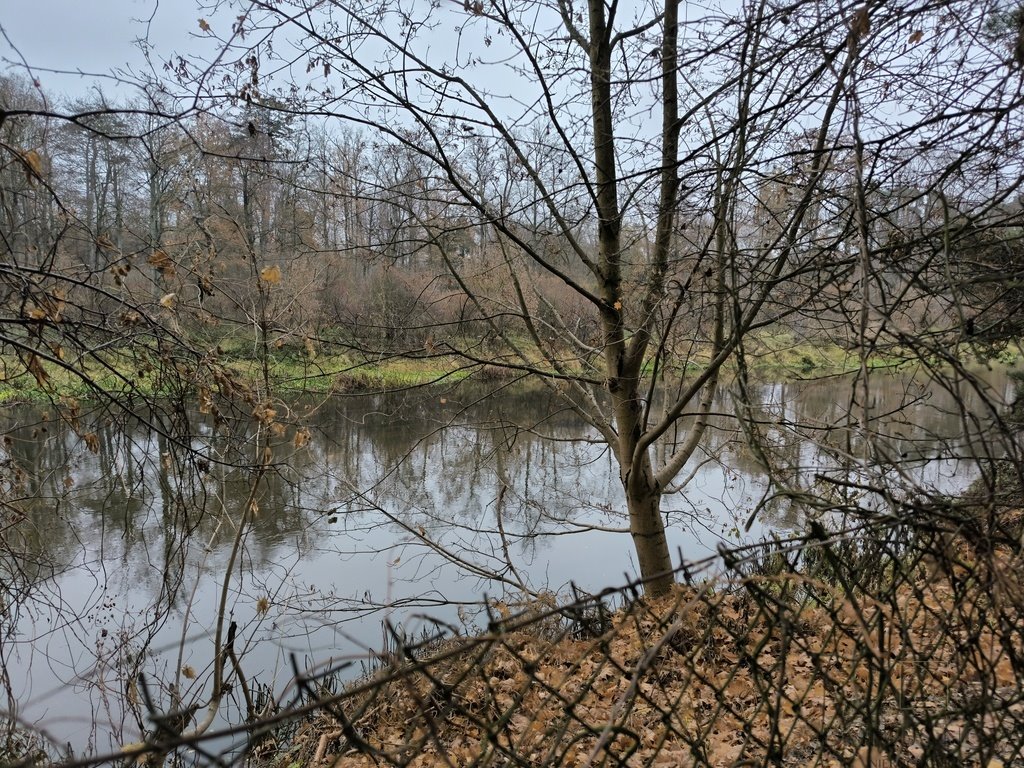 Działka rekreacyjna na sprzedaż Borkowo, Rzeczna  2 302m2 Foto 3