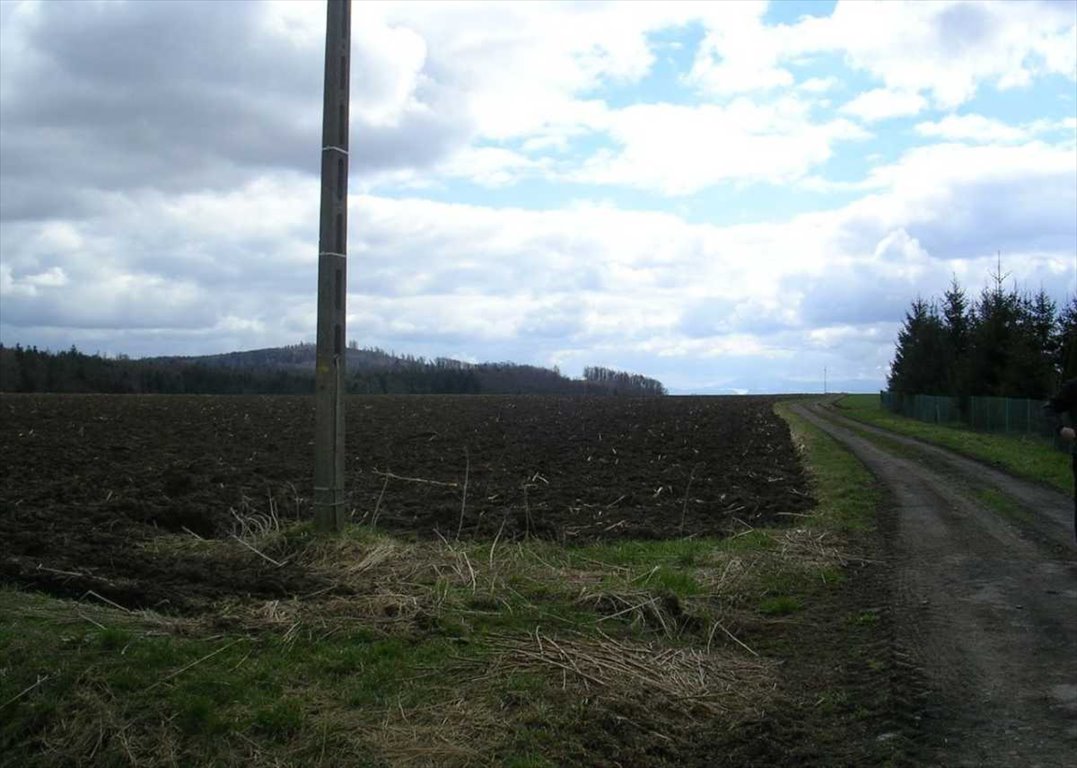 Działka inna na sprzedaż Kłodzko  10 600m2 Foto 1