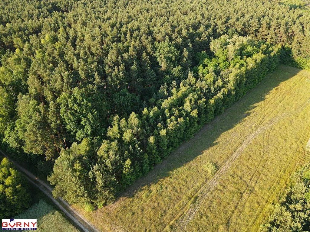 Działka rolna na sprzedaż Bąkowa Góra  4 000m2 Foto 8