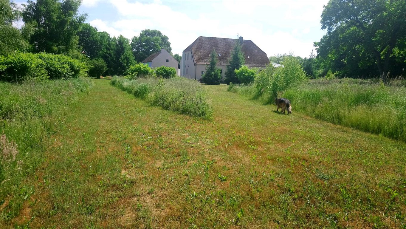 Działka budowlana na sprzedaż Gostyń  1 815m2 Foto 5