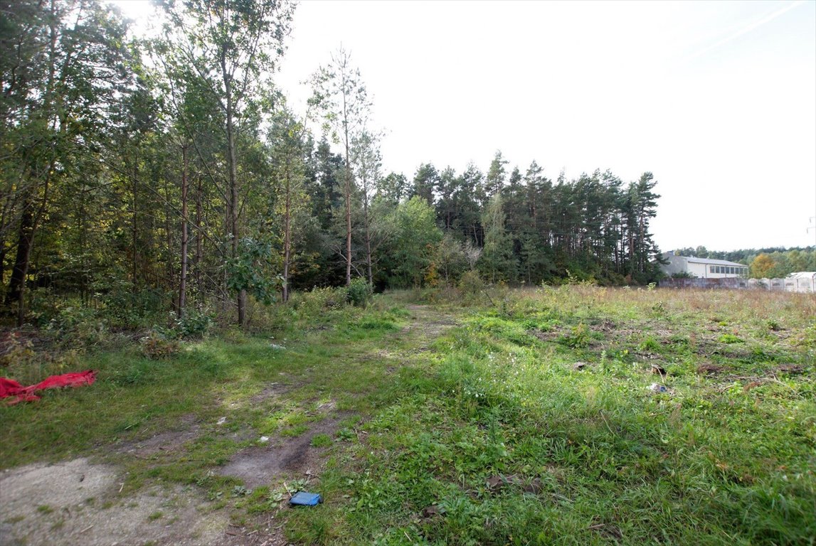 Działka budowlana na sprzedaż Morawica  1 153m2 Foto 2