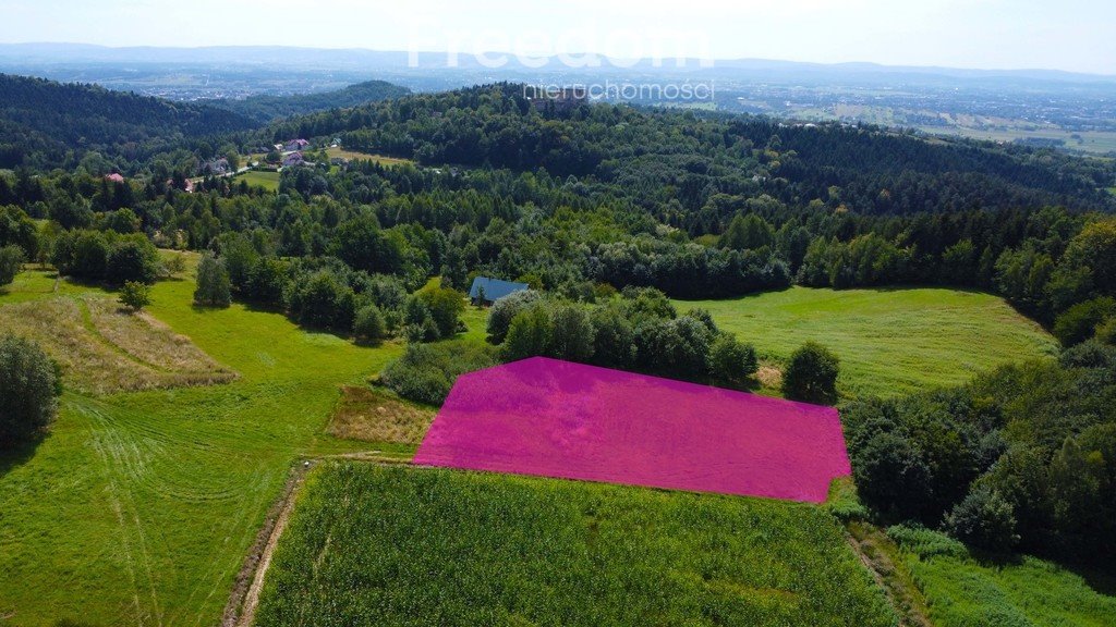 Działka inna na sprzedaż Korczyna, Podzamcze  3 000m2 Foto 1