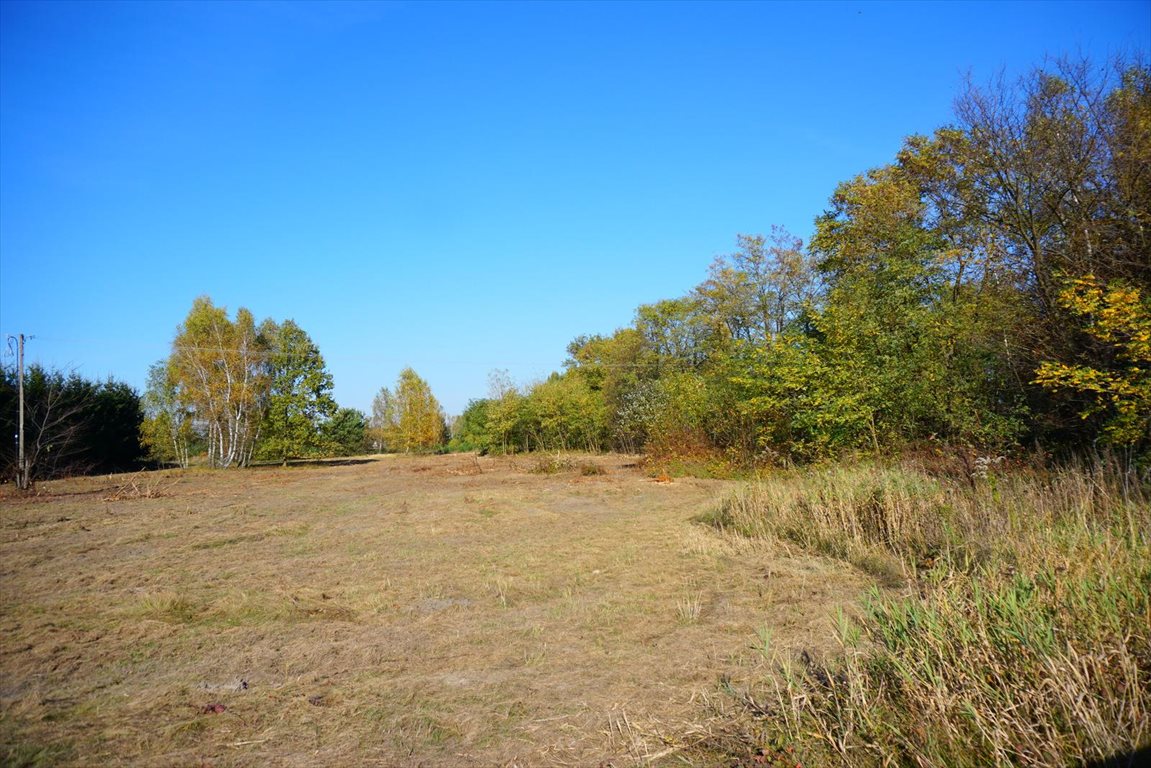 Działka budowlana na sprzedaż Jastrzębnik 1 500m2 Foto 1 Działka budowlana na sprzedaż Jastrzębnik 1 500m2 Foto 1