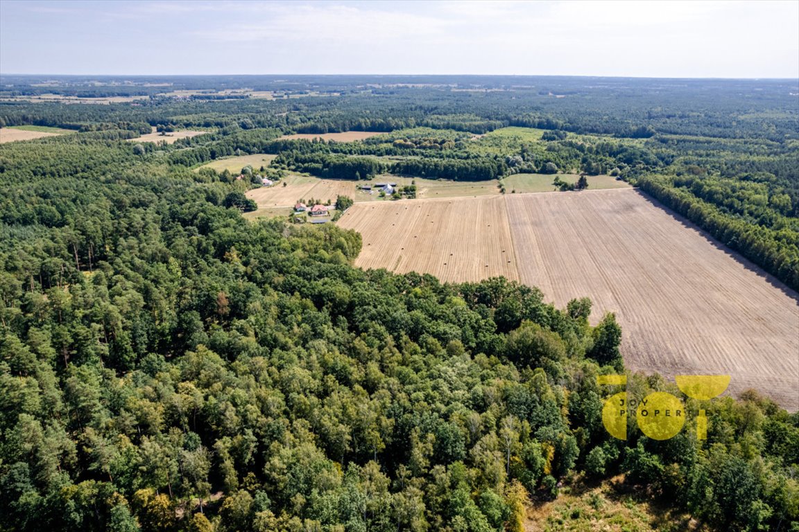 Działka rolna na sprzedaż Przepitki  9 000m2 Foto 12