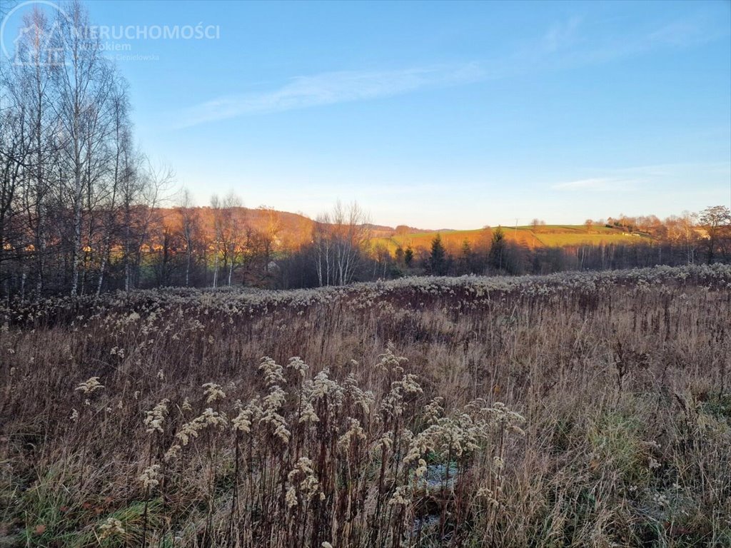 Działka budowlana na sprzedaż Gromnik  1 282m2 Foto 7