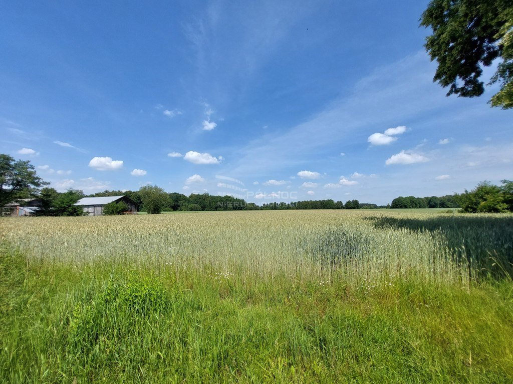 Działka rolna na sprzedaż Nietiahy  71 400m2 Foto 11