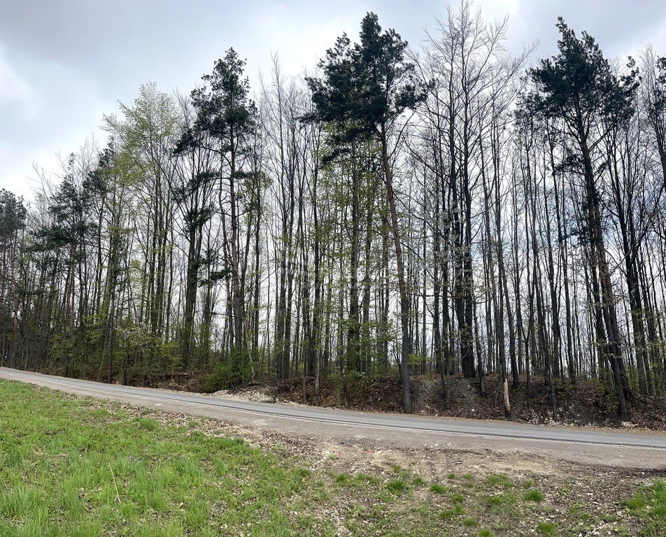 Działka budowlana na sprzedaż Olkusz, Krucza Góra  1 000m2 Foto 14