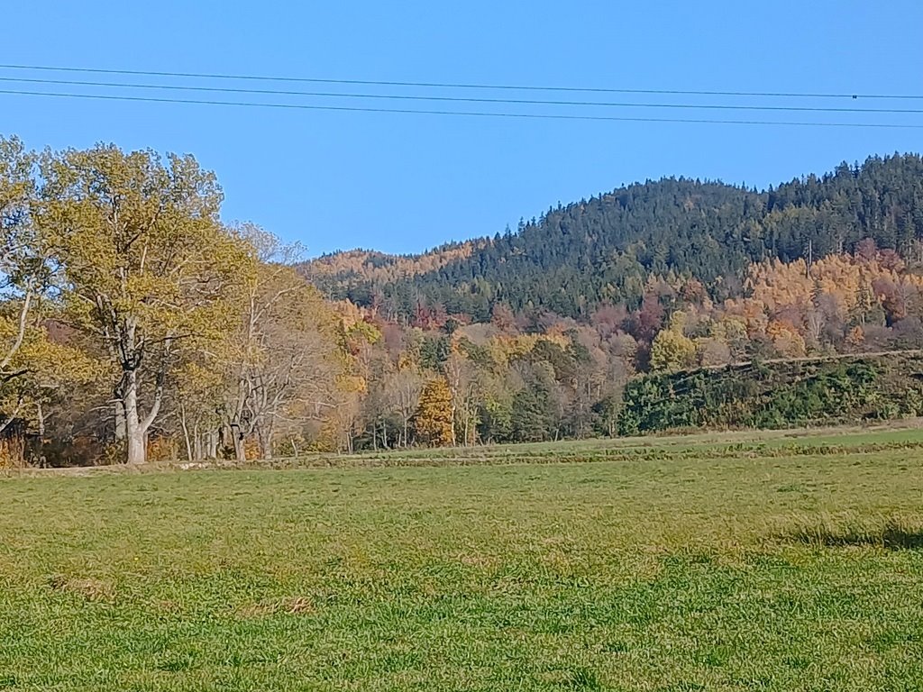 Działka budowlana na sprzedaż Kowary, Tadeusza Rejtana  4 732m2 Foto 3