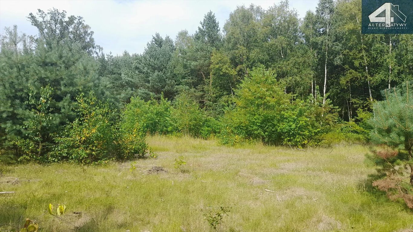 Działka rekreacyjna na sprzedaż Pabianice  1 808m2 Foto 2