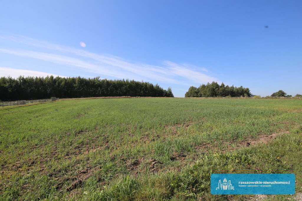 Działka budowlana na sprzedaż Niechobrz  5 000m2 Foto 4