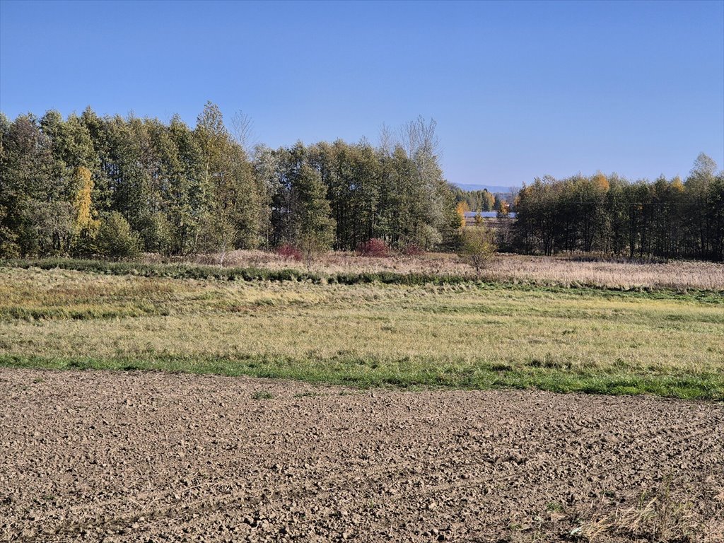 Działka budowlana na sprzedaż Długie  2 532m2 Foto 5