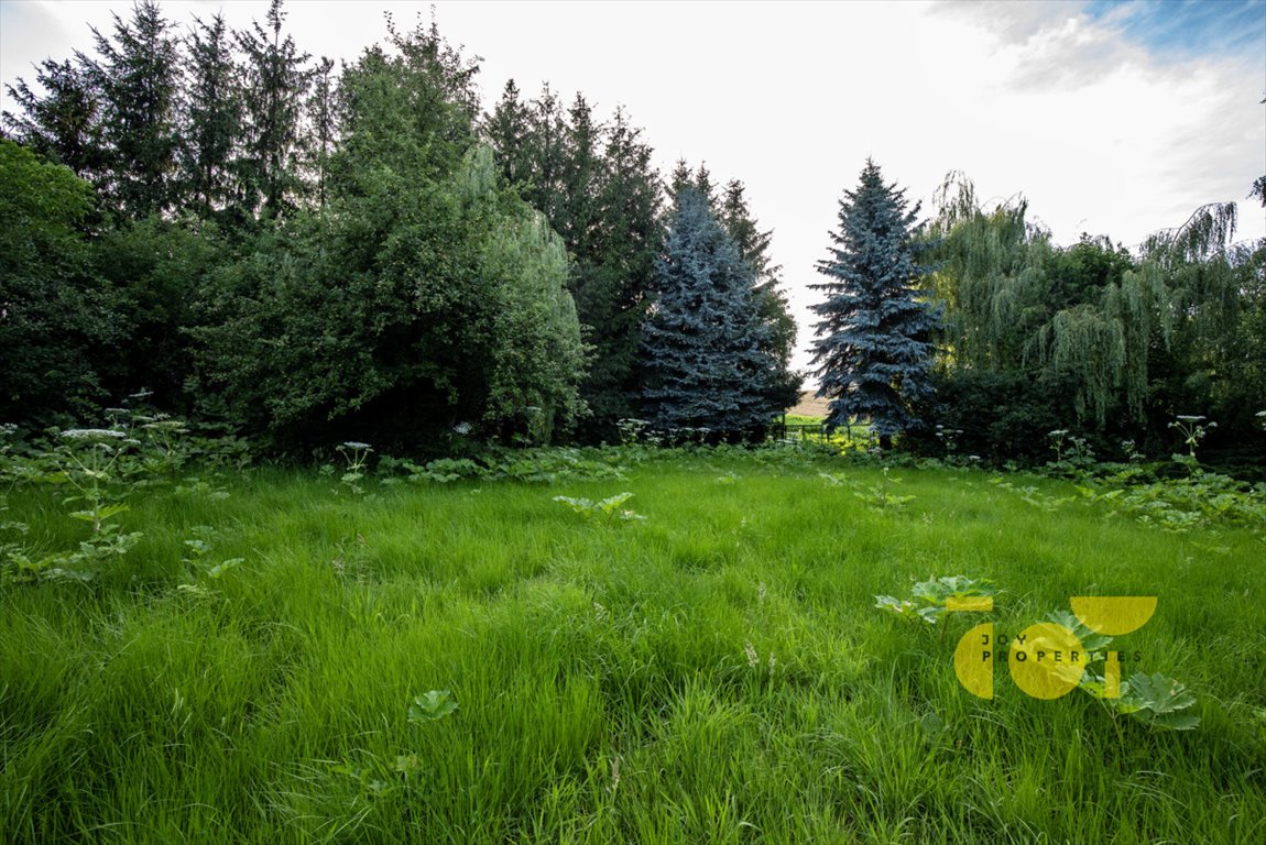 Działka budowlana na sprzedaż Brzezie  9 300m2 Foto 1