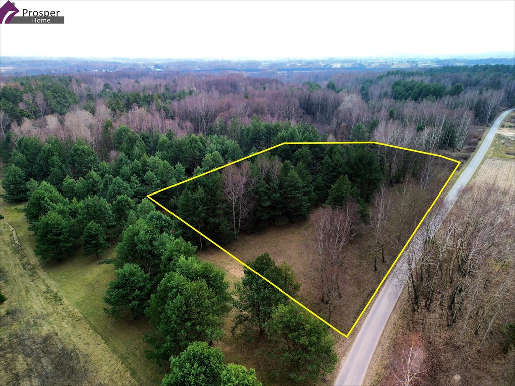 Działka 44 ar z potencjałem pod dom i rekreację Boreczek  4 400m2 Foto 1