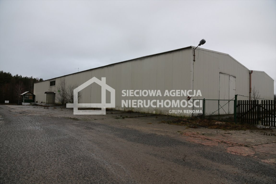 Hala 1811 m² z biurami, utwardzony teren, monitoring Łebieniec  1 811m2 Foto 1
