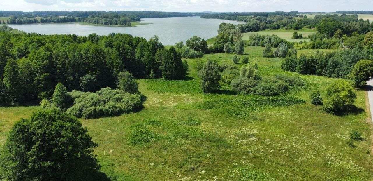 Działka budowlana na sprzedaż Filipów  1 336m2 Foto 12