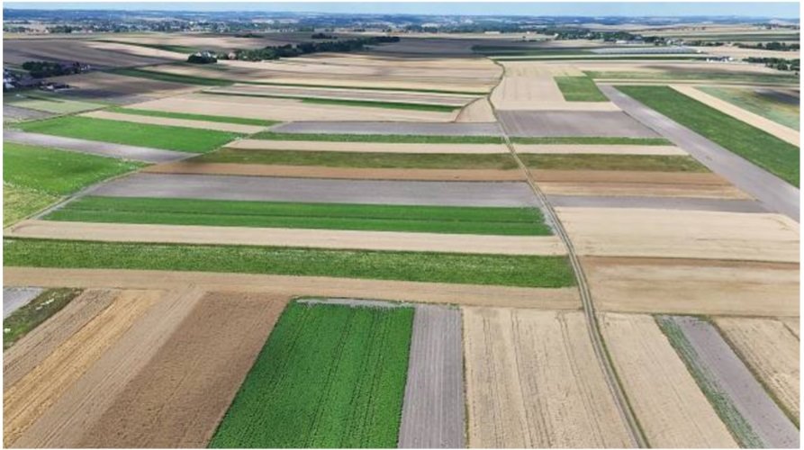 Działka rolna na sprzedaż Obrażejowice, Obrażejowice  14 380m2 Foto 1