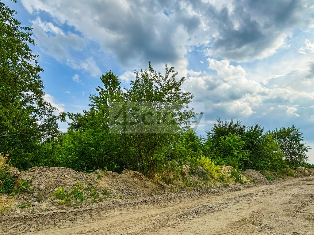 Działka budowlana na sprzedaż Szczęsne  8 463m2 Foto 1