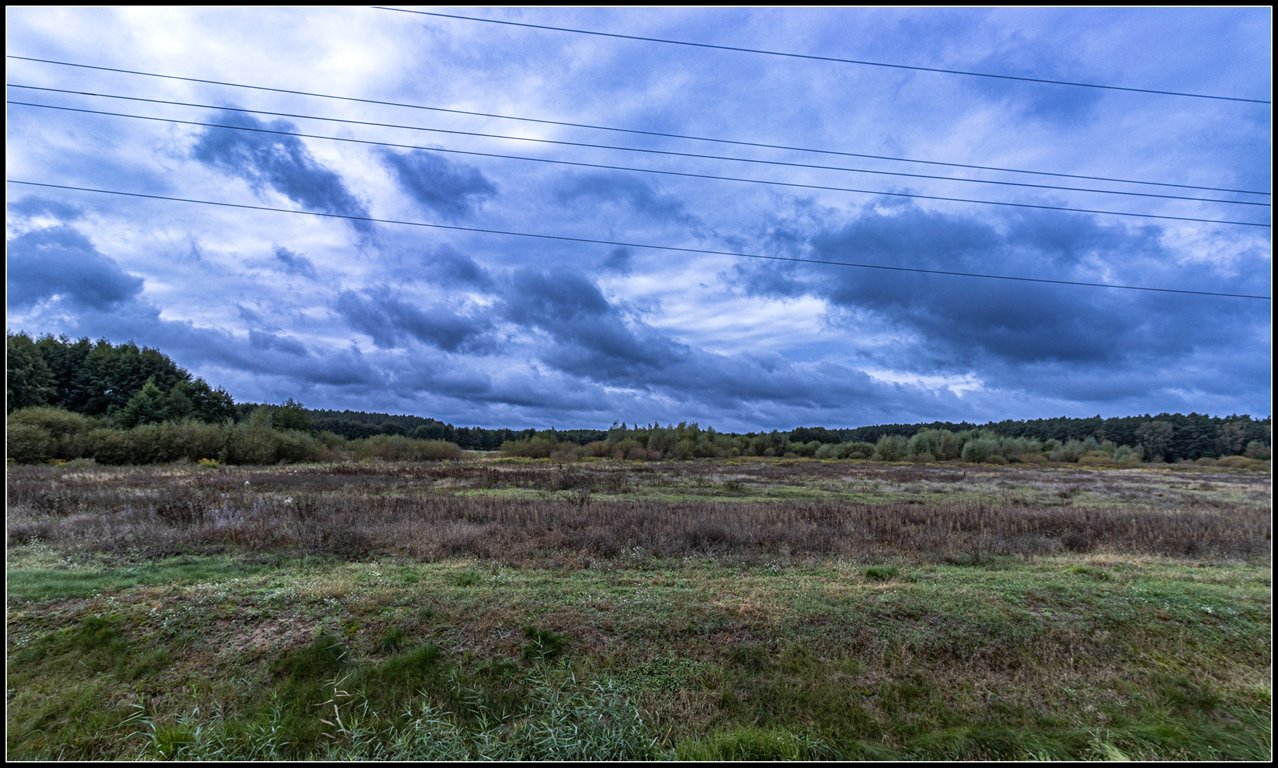 Działka przemysłowo-handlowa na sprzedaż Nowa Sól, Dolnośląska  20 079m2 Foto 15