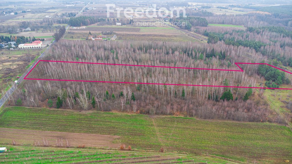 Działka inna na sprzedaż Suchostruga  18 600m2 Foto 4