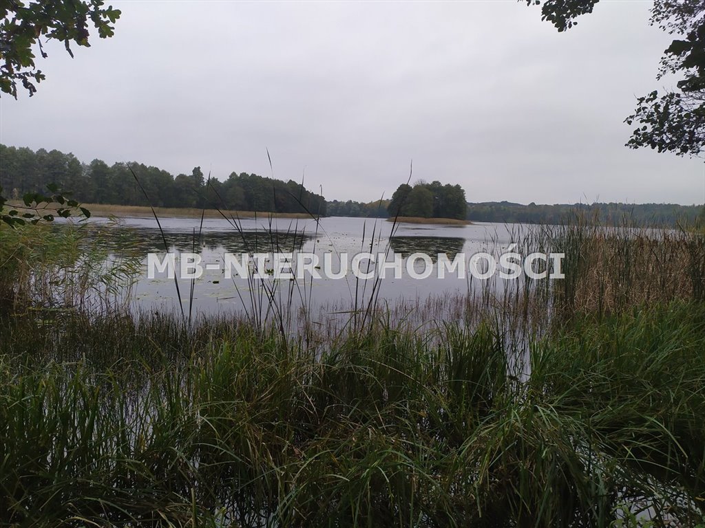 Działka rolna na sprzedaż Sorkwity, Zyndaki  203 863m2 Foto 1