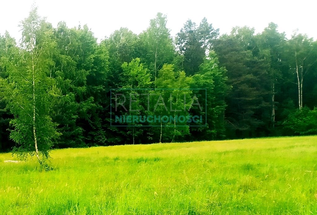 Działka budowlana na sprzedaż Rozalin  1 950m2 Foto 1