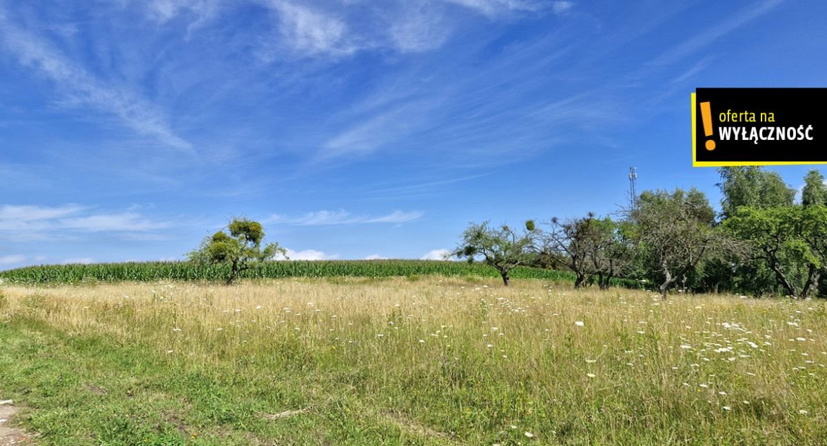 Działka rolna na sprzedaż Łęcze  26 900m2 Foto 7