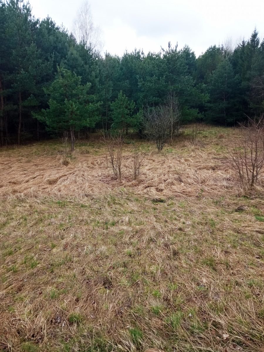 Działka gospodarstwo rolne na sprzedaż Knyszyn  10 500m2 Foto 2