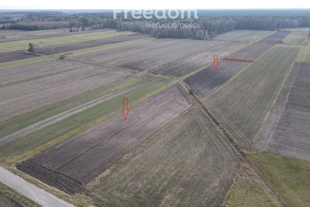 Działka rolna na sprzedaż Tuczna  9 075m2 Foto 2