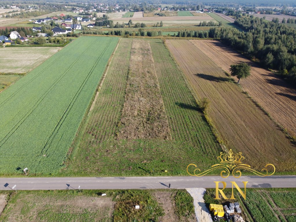 Działka budowlana na sprzedaż Rudka Kozłowiecka  1 000m2 Foto 3