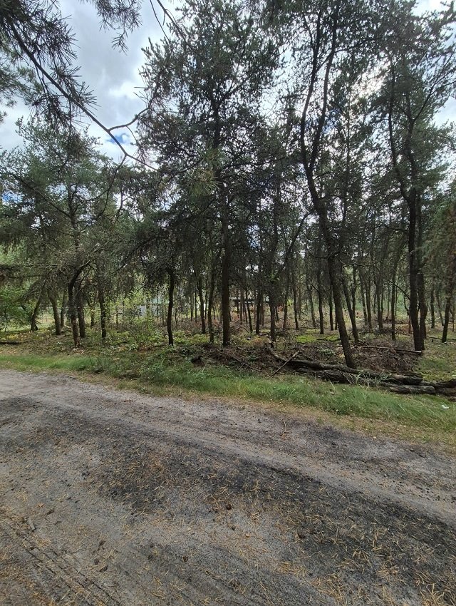 Działka budowlana na sprzedaż Kębliny, Akacjowa  600m2 Foto 4