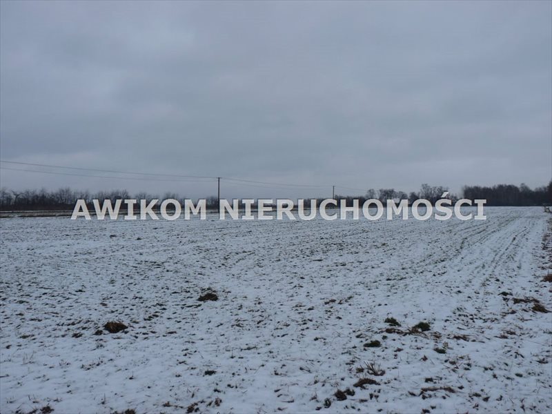 Działka budowlana na sprzedaż Skierniewice, Strobów 1 170m2 Foto 1 Działka budowlana na sprzedaż Skierniewice, Strobów 1 170m2 Foto 1