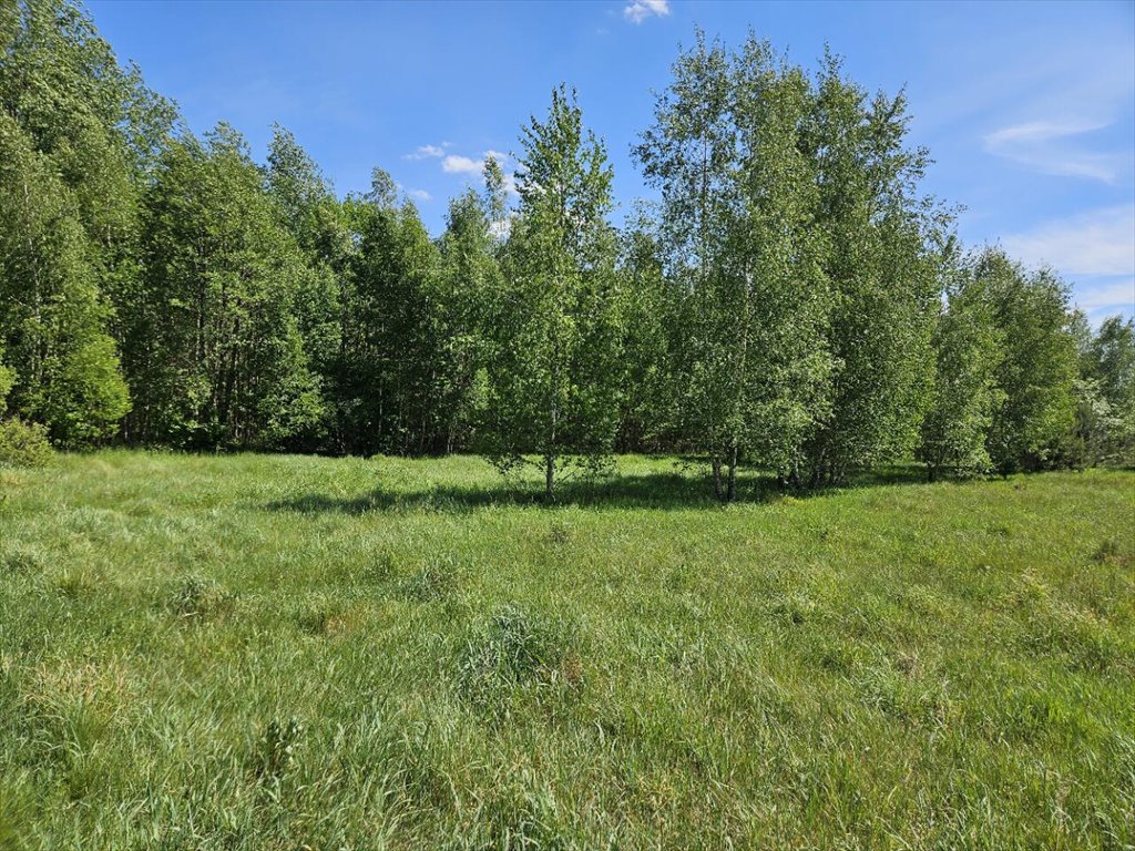 Działka 1 ha z lasem, możliwość zabudowy w Olszynach Olszyny  10 000m2 Foto 1