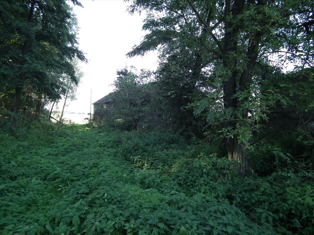 Działka siedliskowa na sprzedaż Bylice, Bylice  3 000m2 Foto 8