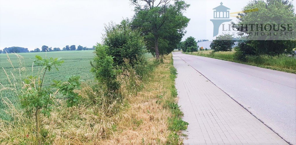 Działka komercyjna na sprzedaż Trąbki Wielkie  10 014m2 Foto 1