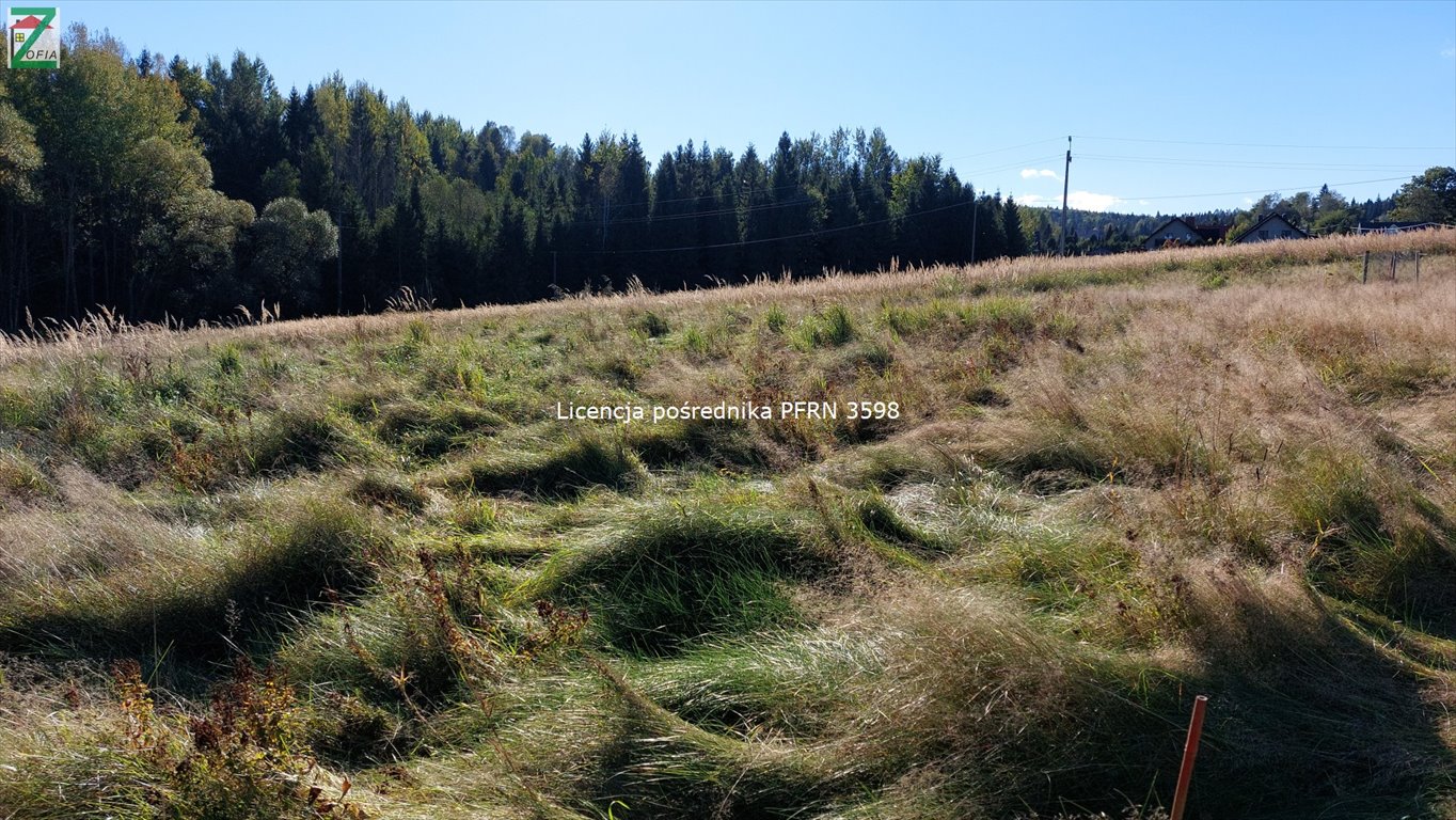 Działka budowlana na sprzedaż JORDANÓW  800m2 Foto 3