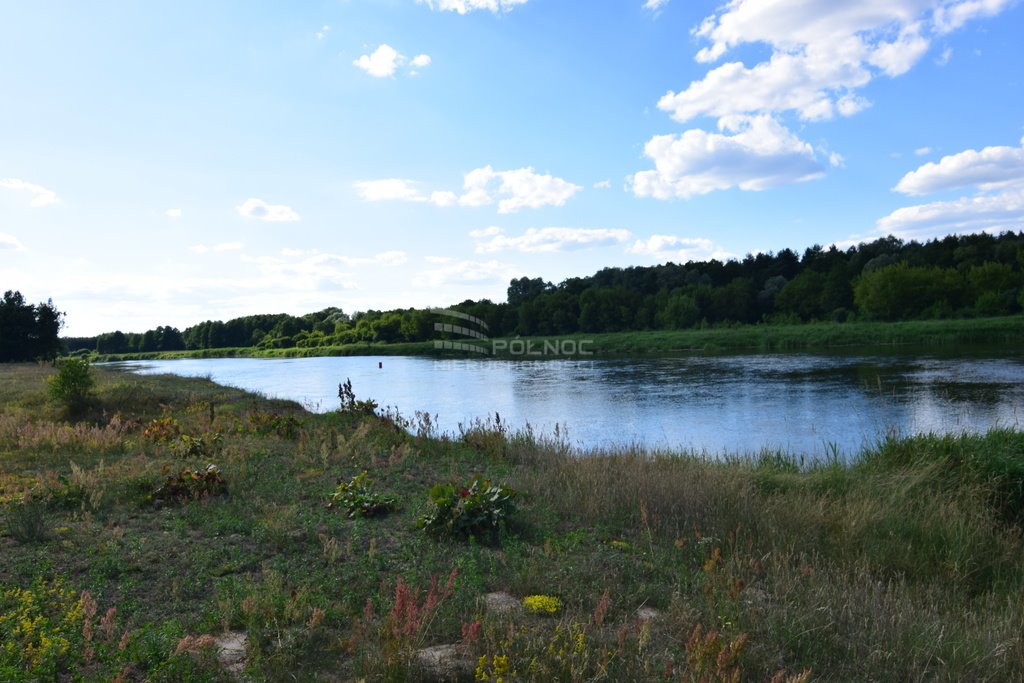 Działka budowlana na sprzedaż Czartoria  3 000m2 Foto 17