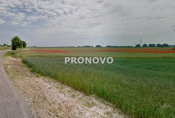 Działka inwestycyjna na sprzedaż Pyrzyce  70 308m2 Foto 5