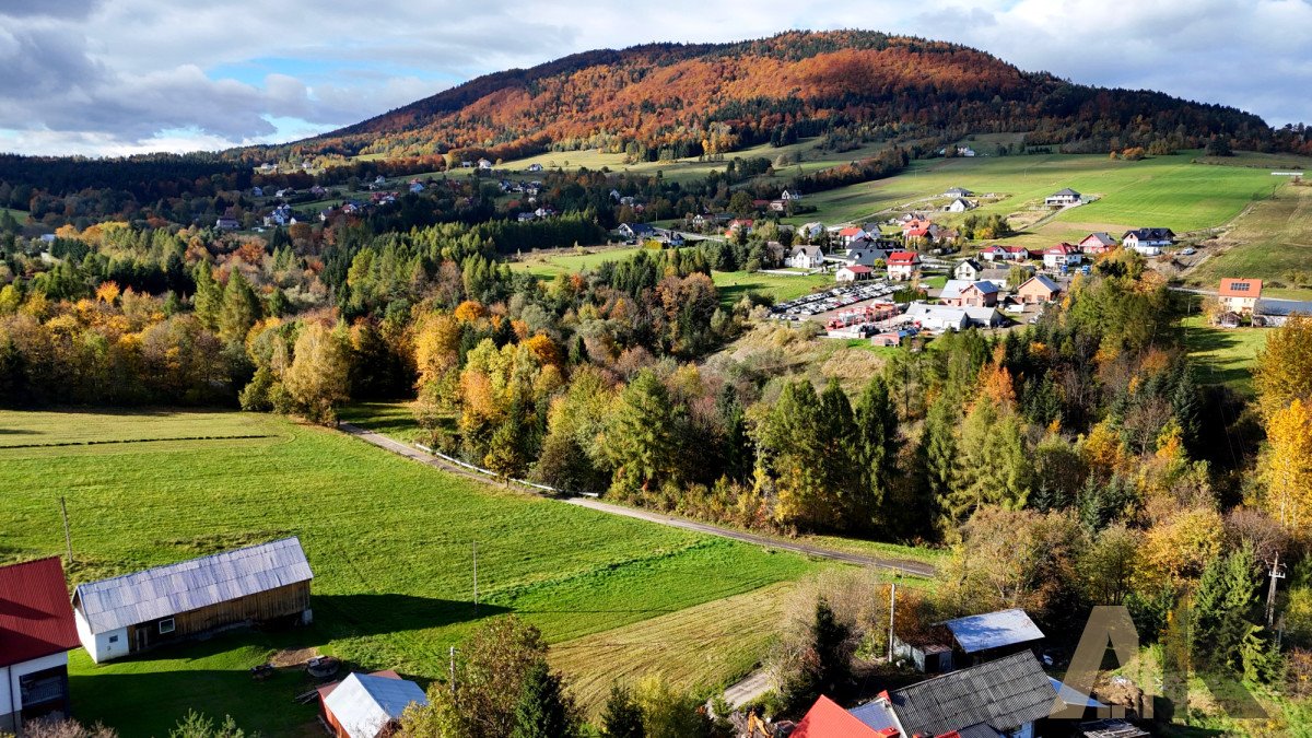 Działki budowlane w Binczarowej (10 i 11 ar) z mediami Binczarowa  1 000m2 Foto 1