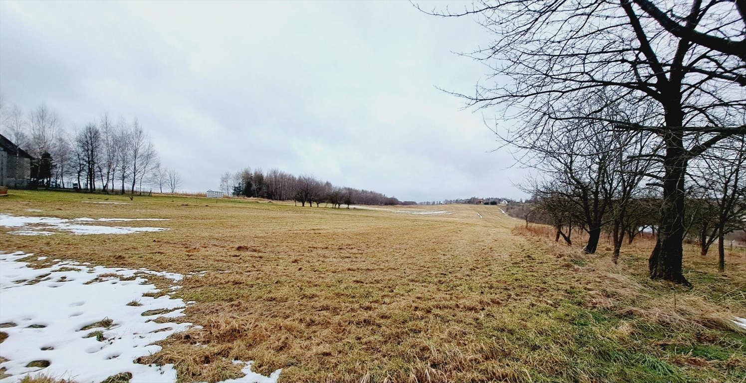 Działka budowlana na sprzedaż Wola Kalinowska, Jurajska  1 210m2 Foto 4