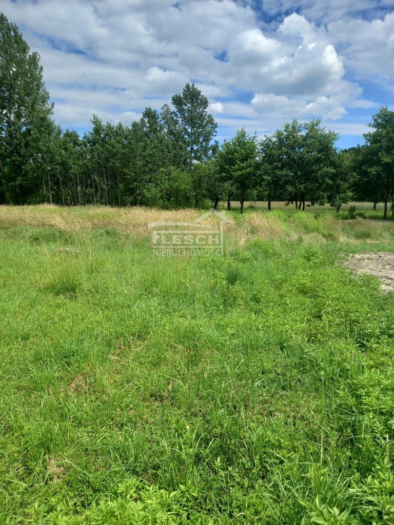 Działka budowlana na sprzedaż Oddział  1 000m2 Foto 2