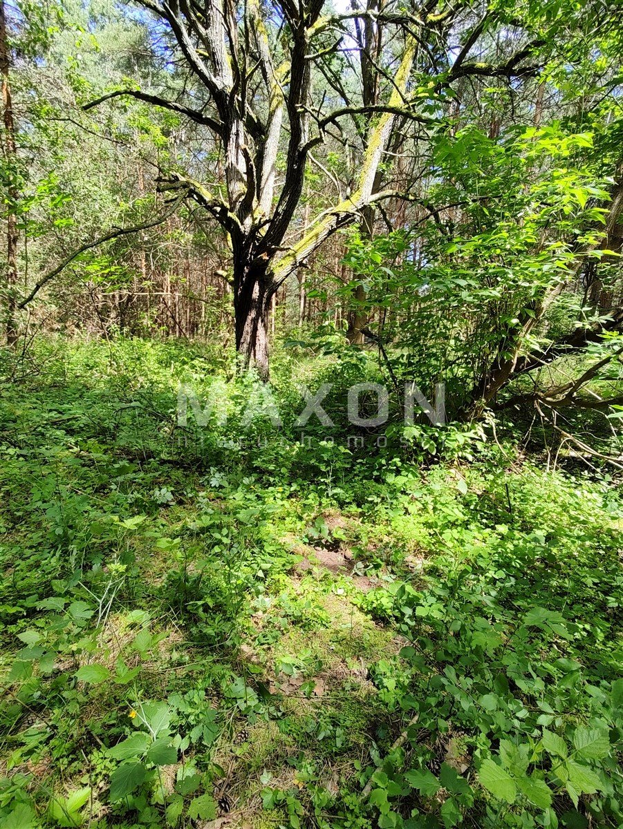 Działka budowlana na sprzedaż Wierzbica  2 228m2 Foto 13